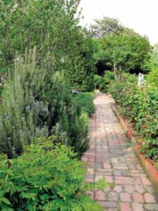 Fresh Clips: The Enchanted Herb Garden of the Washington National Cathedral